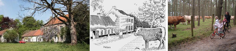 hobos
